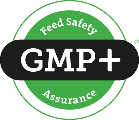GMP logo
